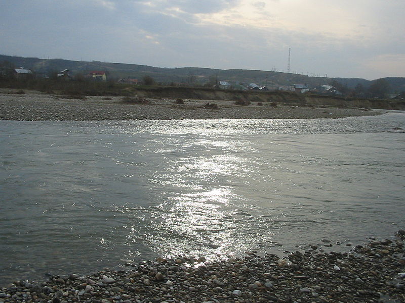 Река Дымбовица возле Мэнешть