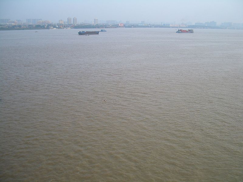 Пловец в мутных водах Янцзы в Ухане